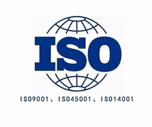 江苏6165金莎总站顺利通过ISO三体系复审认证